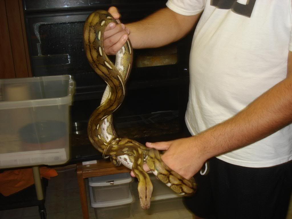 DSC03074.jpg
