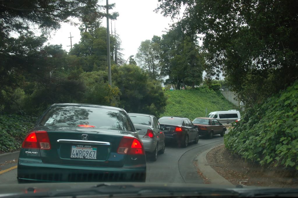 Stanford, California, начало мая 