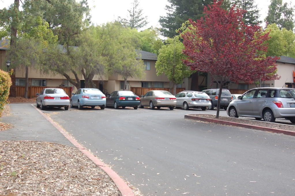 Stanford, California, начало мая 