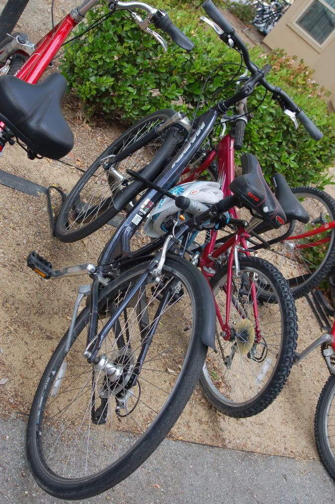 Stanford, California, начало мая 