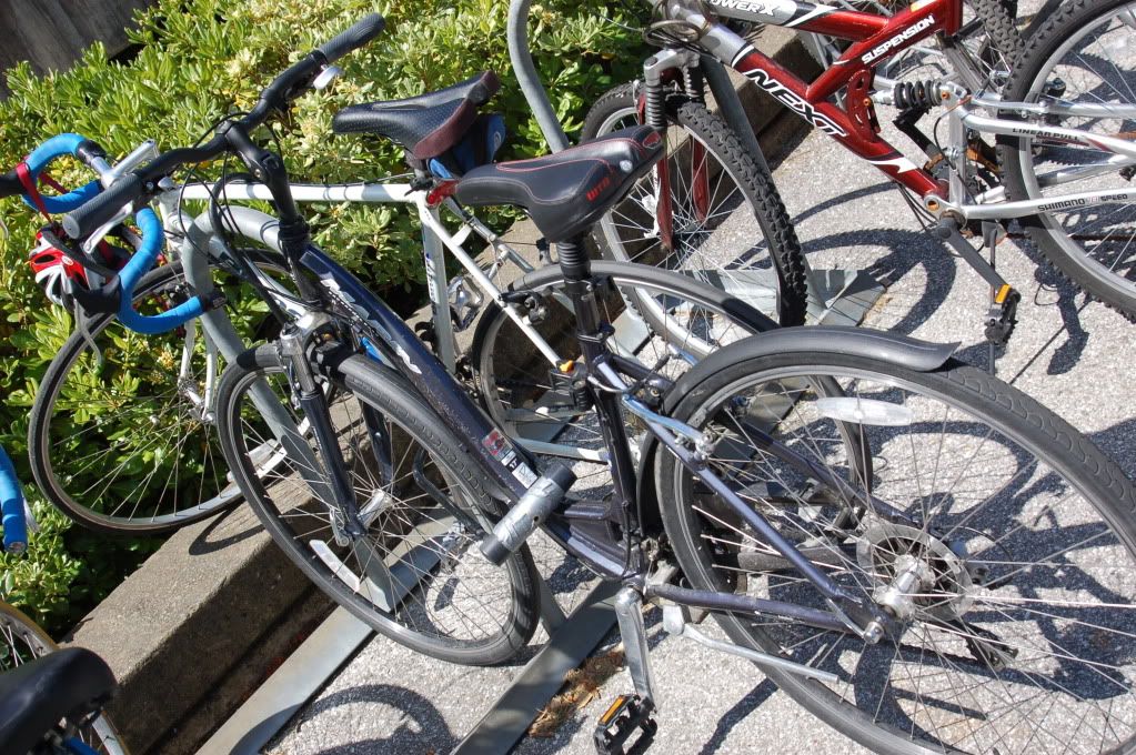 Stanford, California, начало мая 