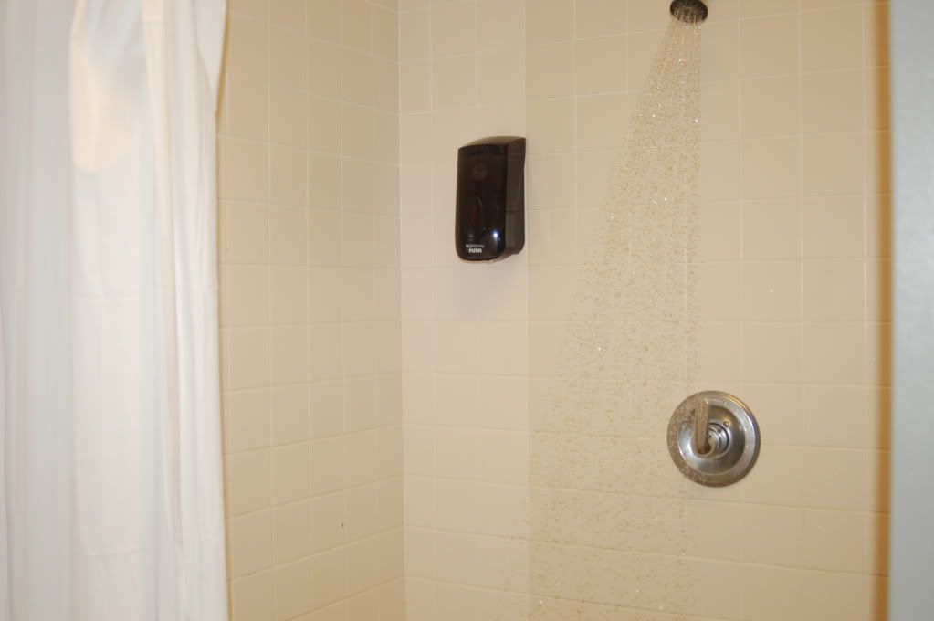 Stanford, California, начало мая 