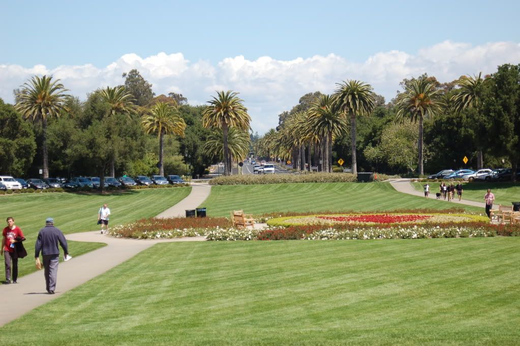 Stanford, California, начало мая 