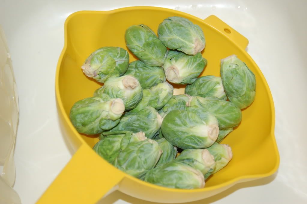 Stanford, California, начало мая 