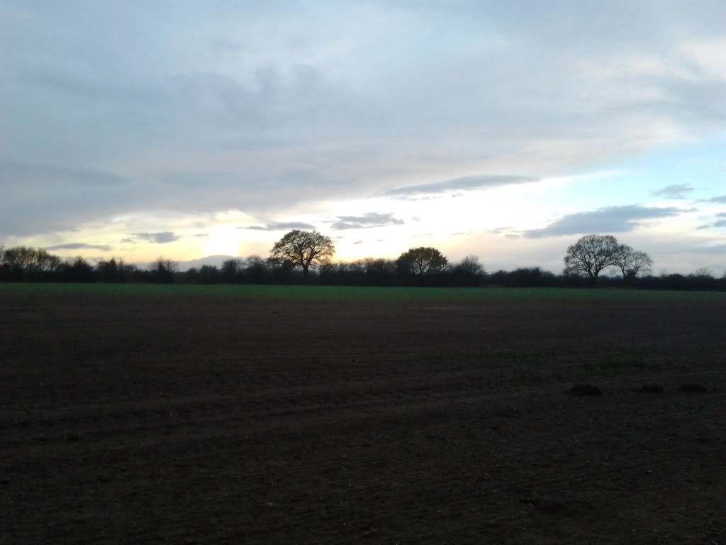 2011-12-17093121.jpg