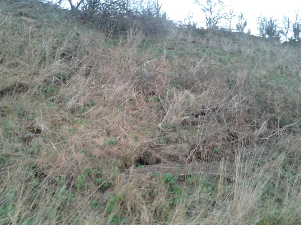 2011-12-17093213.jpg