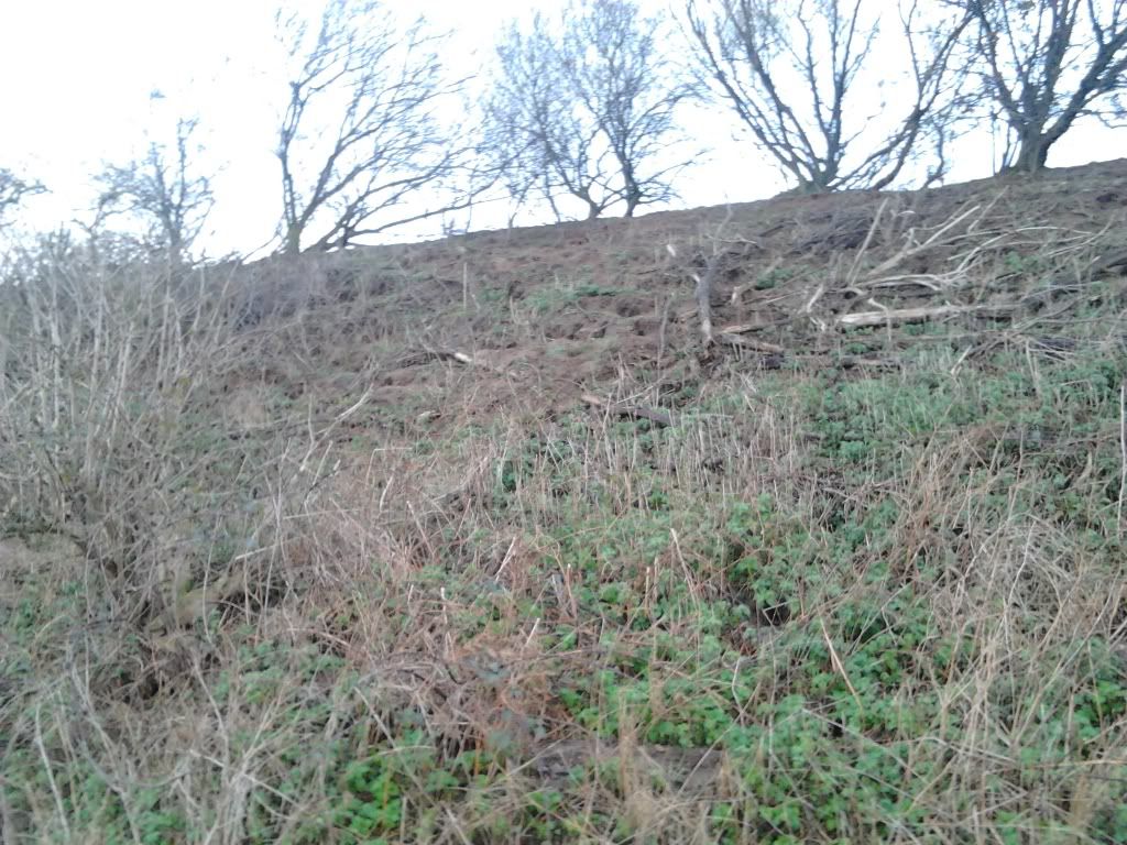 2011-12-17093240.jpg