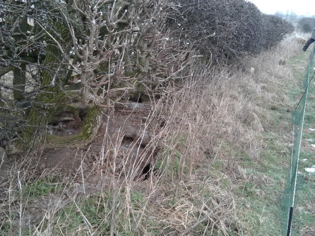 2012-02-11125530.jpg