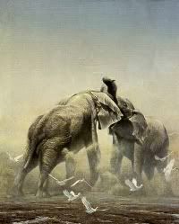 &quot;Sparring Elephants&quot; by Robert Bateman