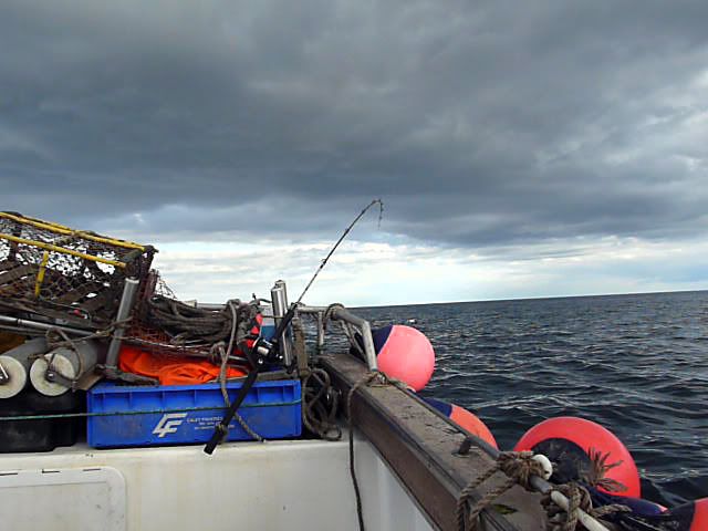 P1050001.jpg