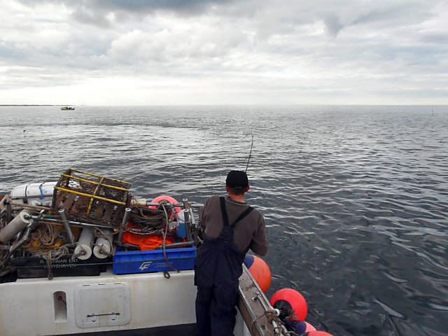 P1050002.jpg