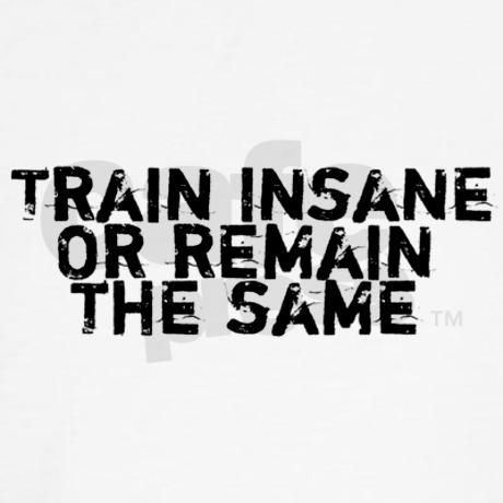 train_insane_or_remain_the_same_hoodie_zps6dfbe59d.jpg