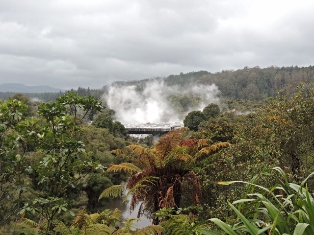 NUEVA ZELANDA: EL PARAISO EXISTE - Blogs de Nueva Zelanda - Día 5: Rotorua (1)