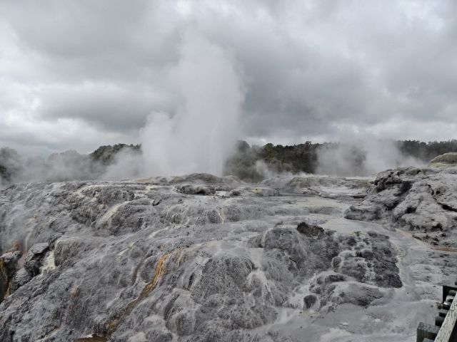 NUEVA ZELANDA: EL PARAISO EXISTE - Blogs de Nueva Zelanda - Día 5: Rotorua (2)