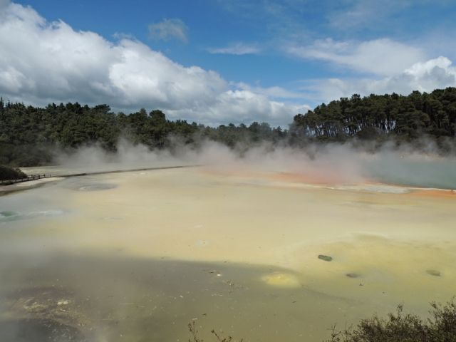 NUEVA ZELANDA: EL PARAISO EXISTE - Blogs de Nueva Zelanda - Día 6: Rotorua - Ohakune (2)