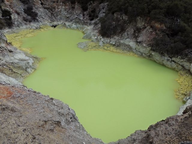 NUEVA ZELANDA: EL PARAISO EXISTE - Blogs de Nueva Zelanda - Día 6: Rotorua - Ohakune (3)
