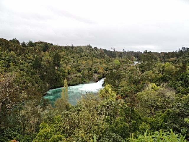 NUEVA ZELANDA: EL PARAISO EXISTE - Blogs de Nueva Zelanda - Día 6: Rotorua - Ohakune (4)