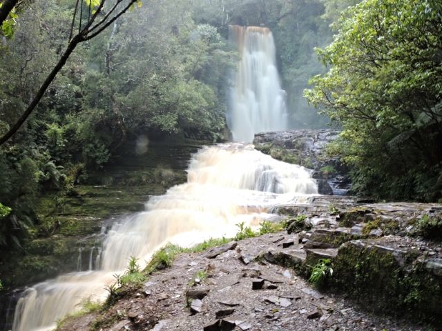 Día 16: Los Catlins - Milford Sound - NUEVA ZELANDA: EL PARAISO EXISTE (1)