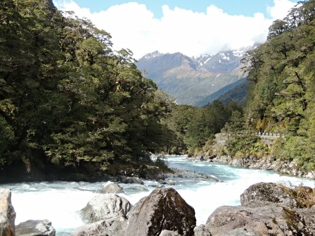 Día 16: Los Catlins - Milford Sound - NUEVA ZELANDA: EL PARAISO EXISTE (2)