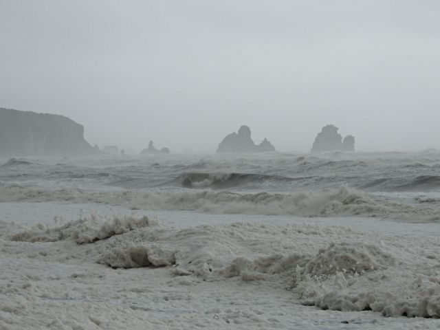 NUEVA ZELANDA: EL PARAISO EXISTE - Blogs de Nueva Zelanda - Día 20: Franz Josef Glacier - Greymouth (2)