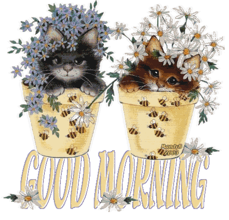 MB-CATPOTS-GOODMORNING11122222222.gif