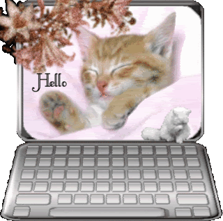 helloy.gif