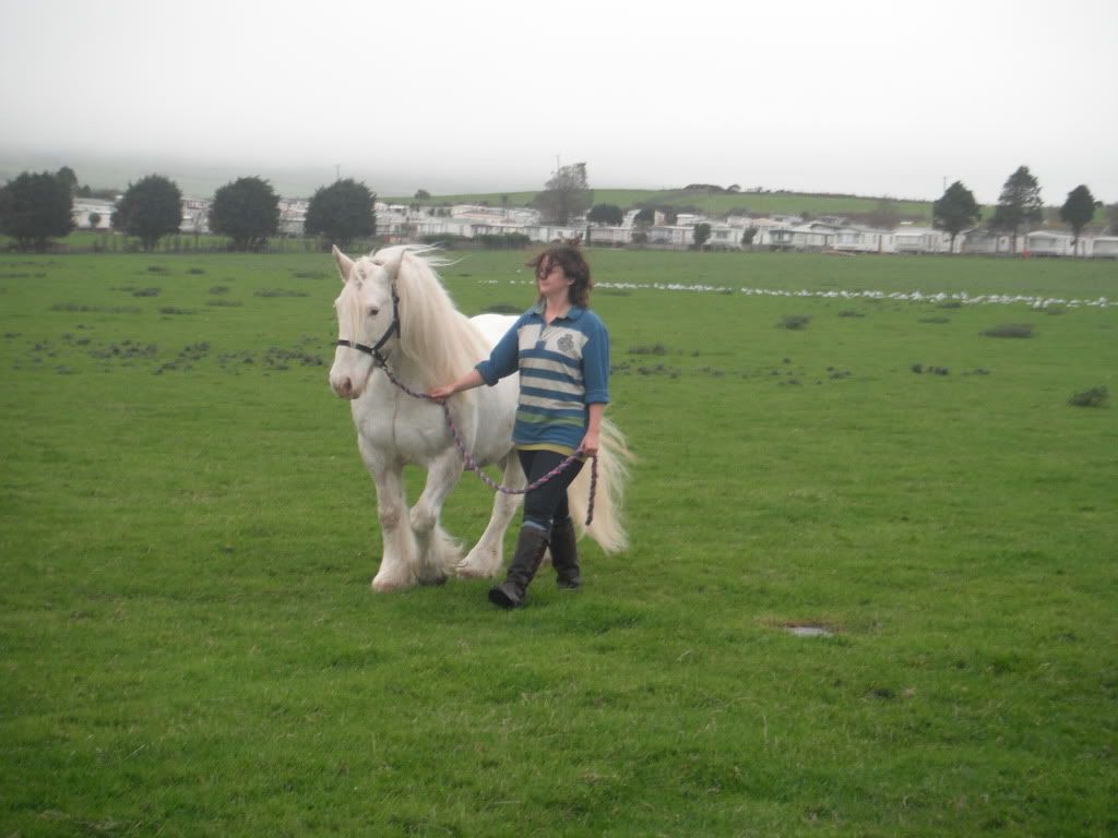 How much weight can a 14hh traditional cob carry Page 3