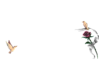 BirdsKissRose.gif